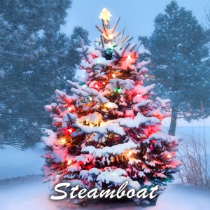 Steamboat Springs Christmas Tree Delivery